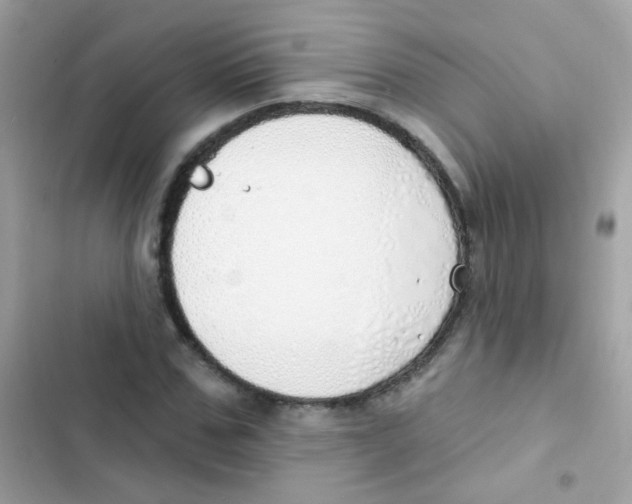 X0000103170971200809192113