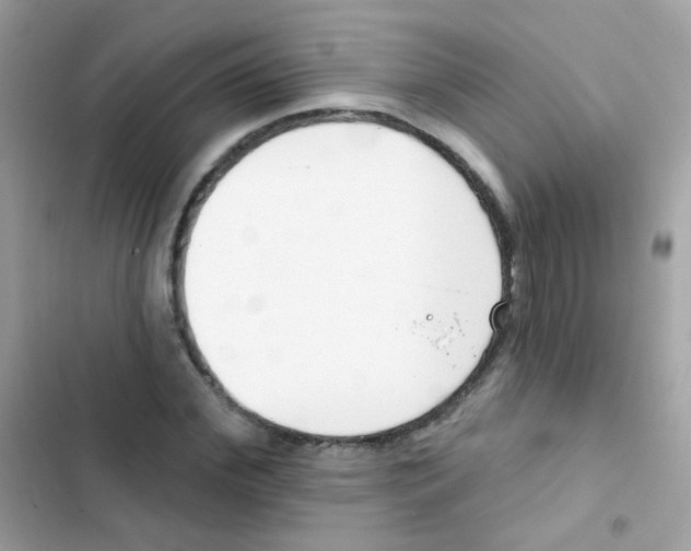 X0000103170972200809192113