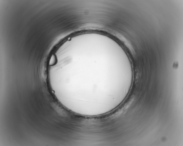 X0000103170973200809192113