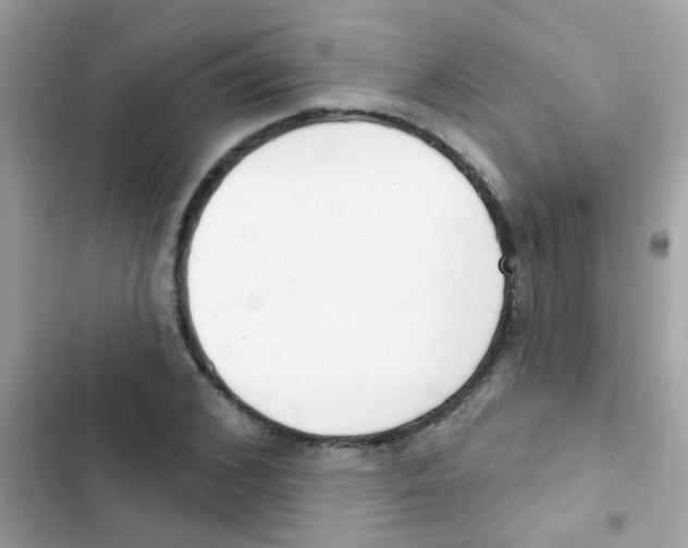 X0000103170976200809192113