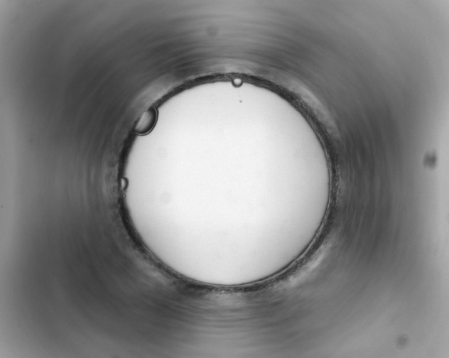 X0000103170977200809192113