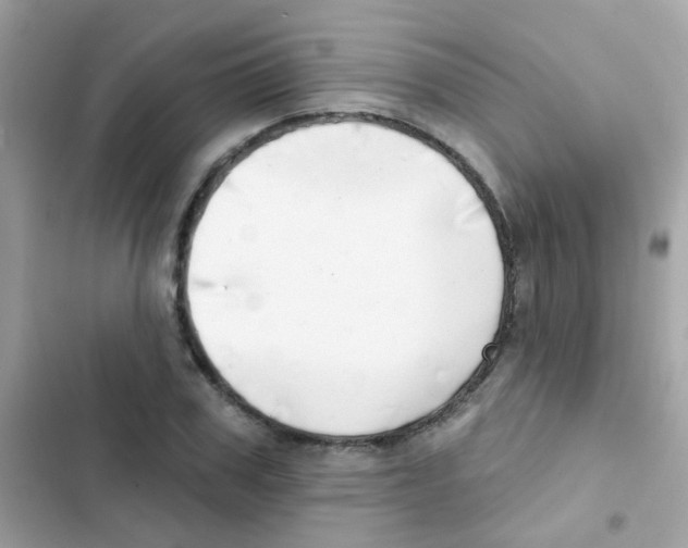 X0000103170979200809192113