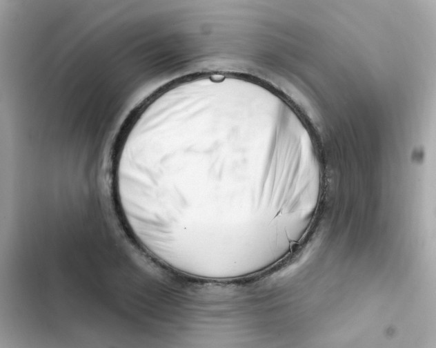 X0000103170981200809192113