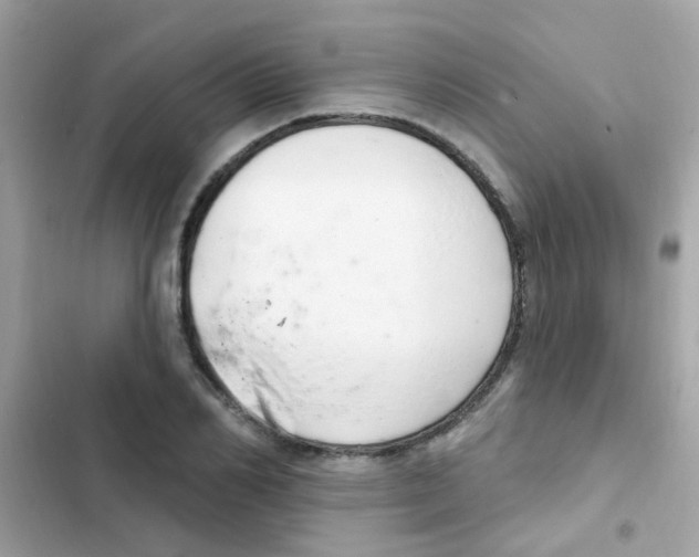 X0000103170982200809192113