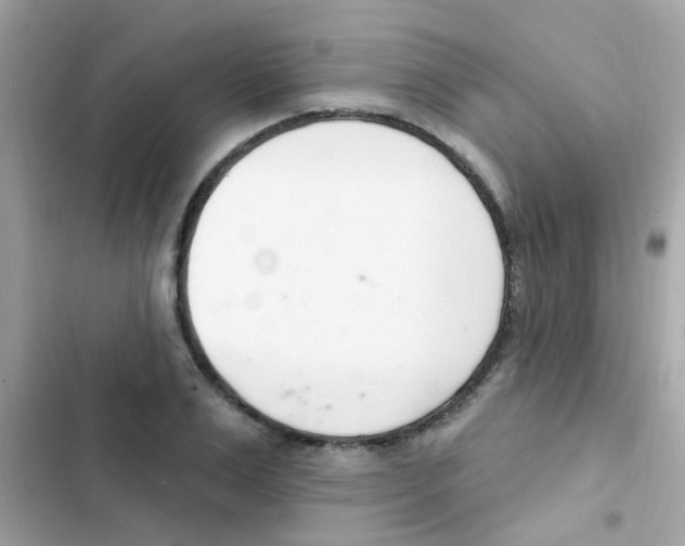 X0000103170983200809192113