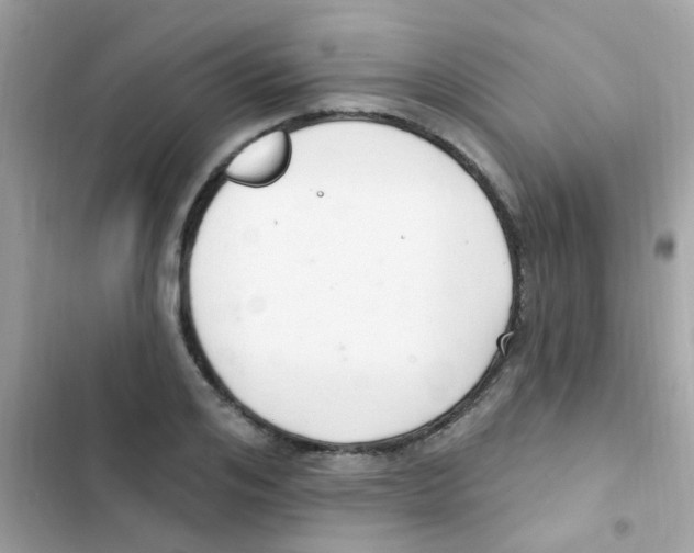 X0000103170984200809192113