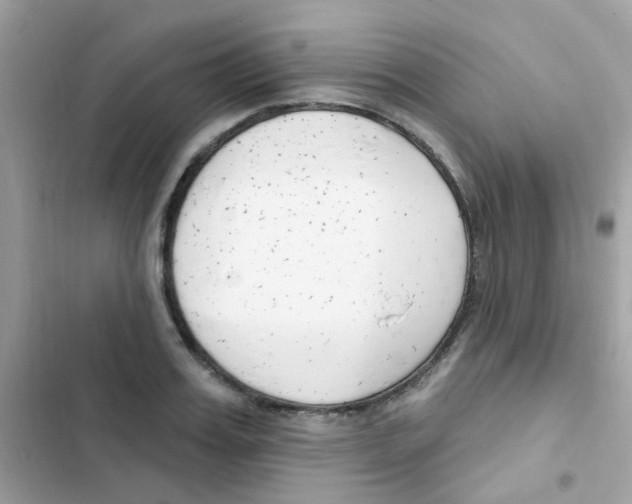 X0000103170987200809192113