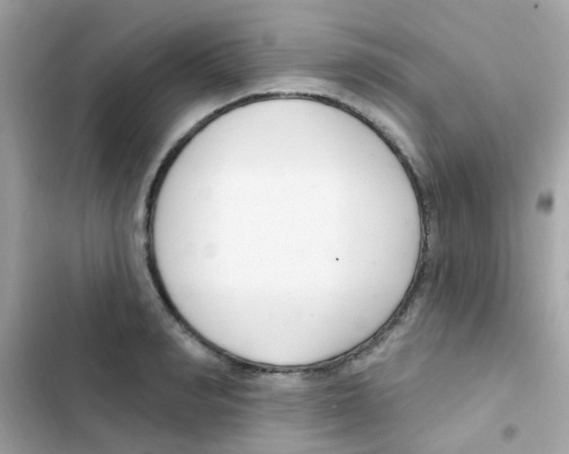 X0000103170990200809192113