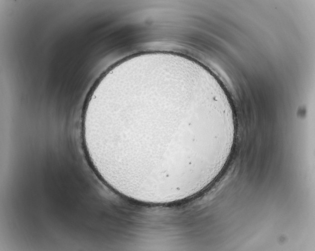 X0000103170992200809192113