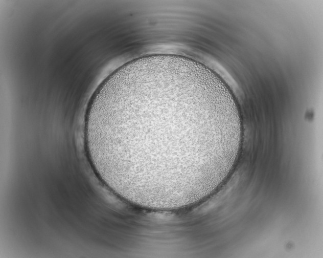 X0000103170994200809192113