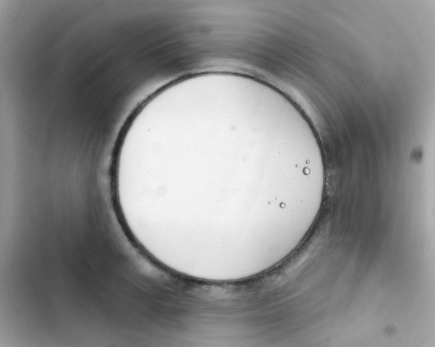 X0000103170995200809192113