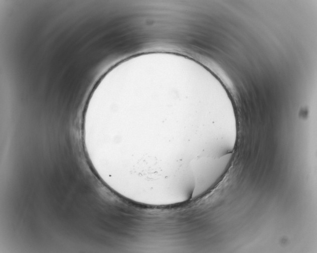 X0000103170996200809192113