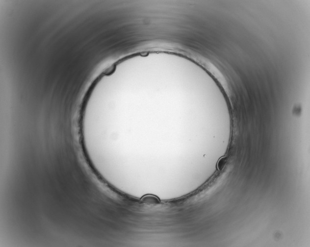 X0000103170997200809192113