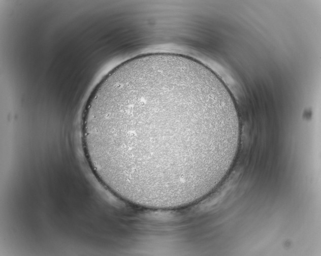 X0000103170998200809192113