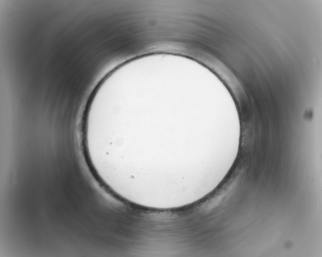 X0000103170999200809192113