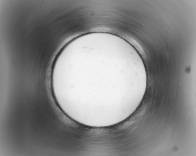 X0000103171000200809192113