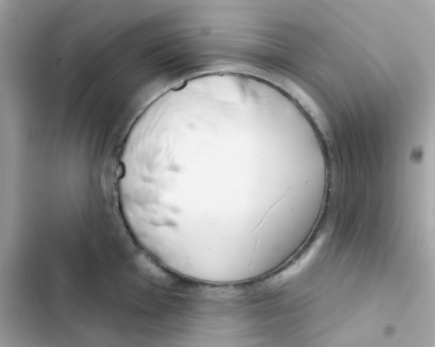 X0000103171001200809192112