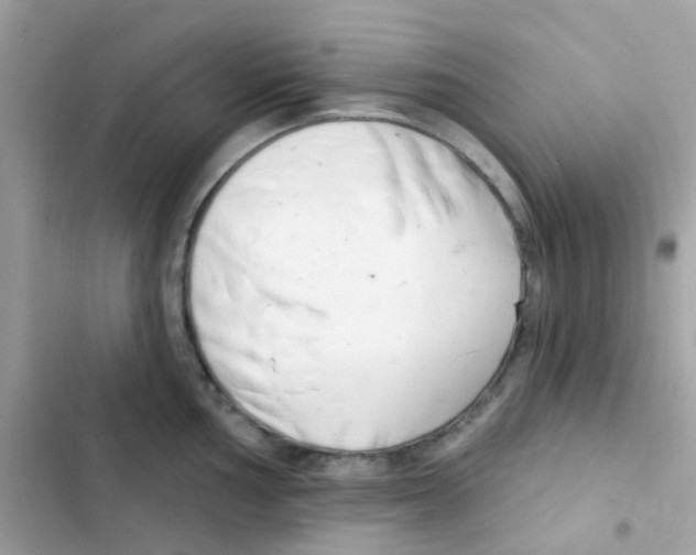 X0000103171002200809192112