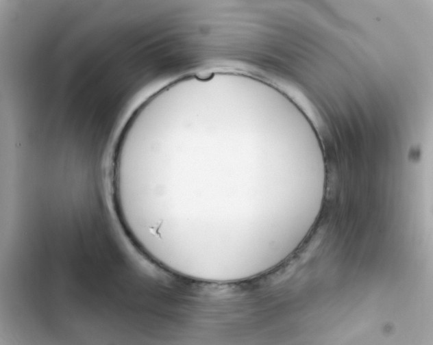 X0000103171003200809192112