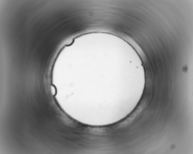 X0000103171004200809192112