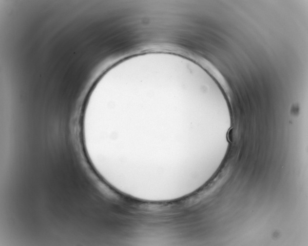 X0000103171005200809192112