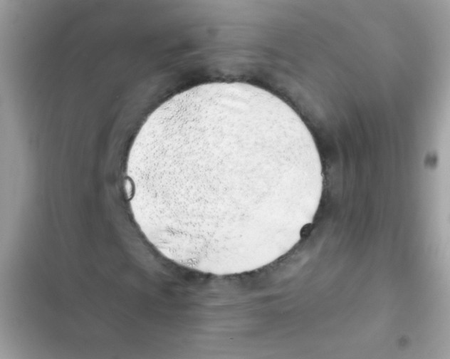 X0000103171009200809192112