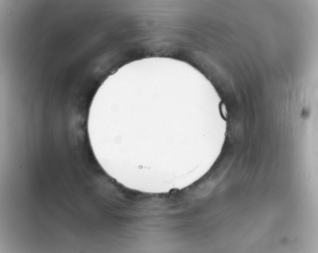 X0000103171010200809192112