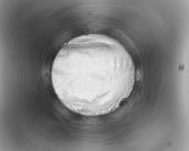 X0000103171011200809192112