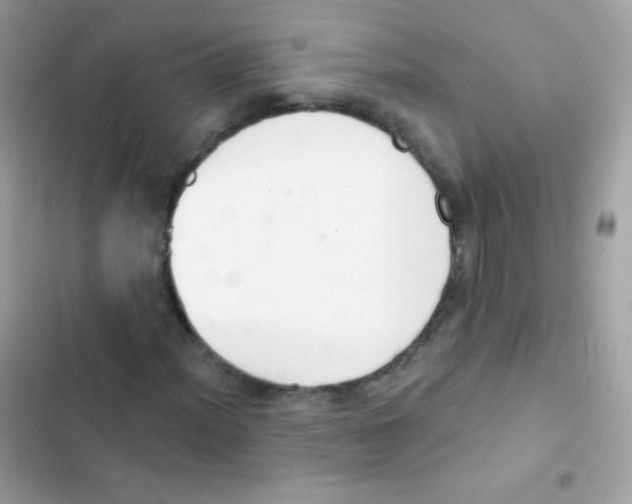 X0000103171012200809192112