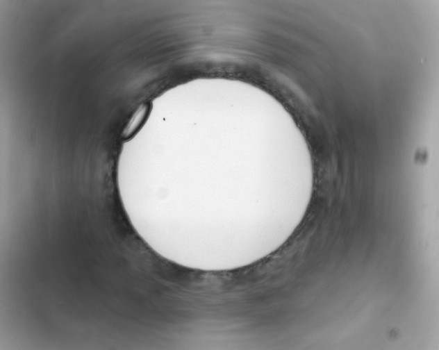 X0000103171013200809192112