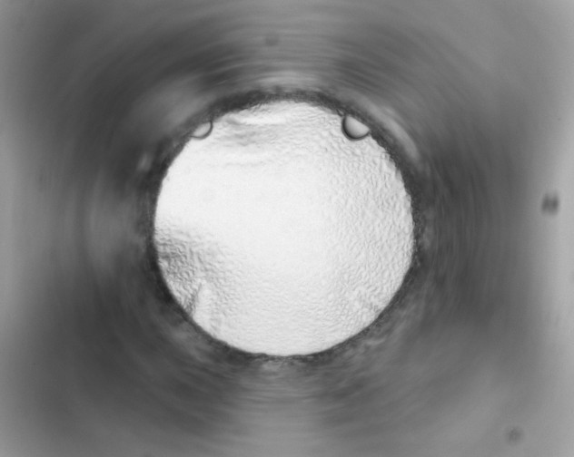 X0000103171015200809192112