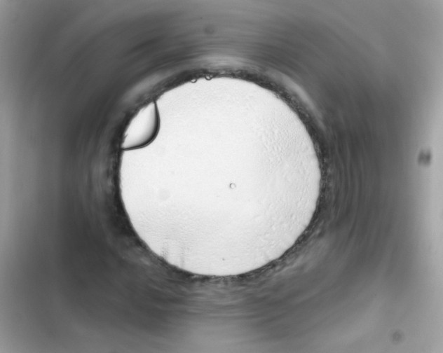 X0000103171016200809192112