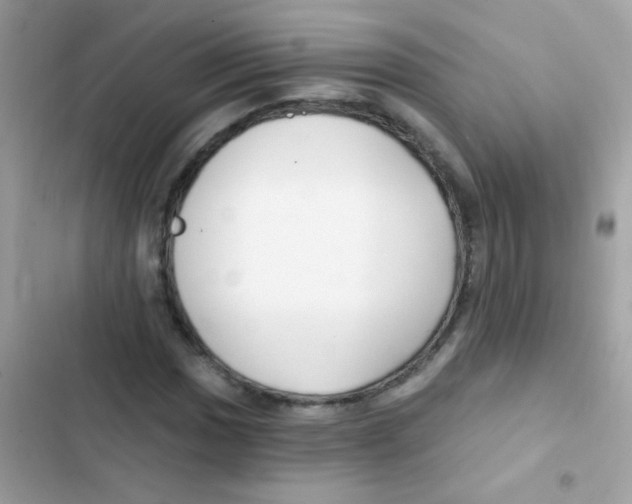 X0000103171017200809192112