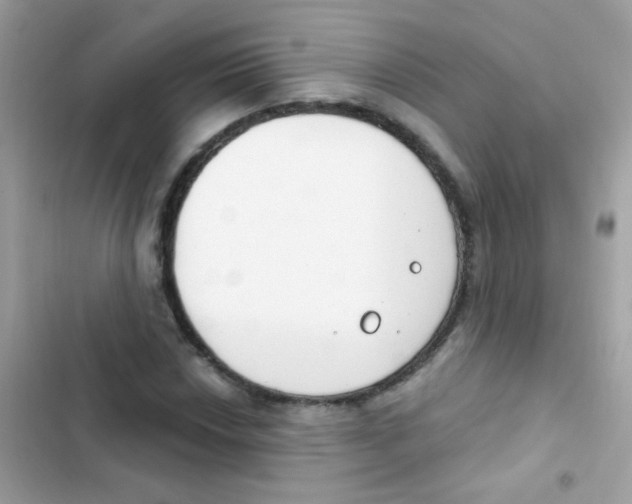 X0000103171018200809192112