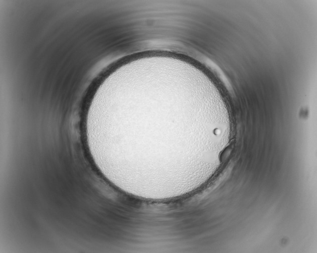 X0000103171019200809192112