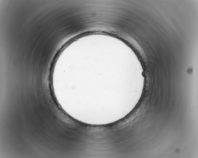 X0000103171020200809192112