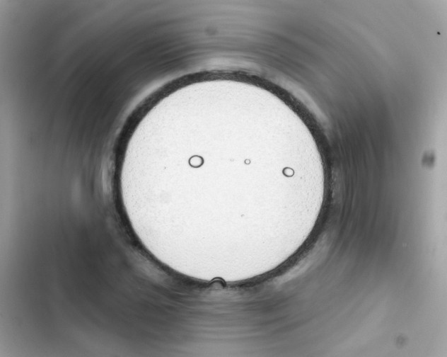 X0000103171021200809192112