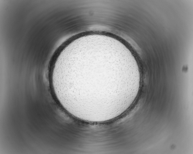 X0000103171022200809192112