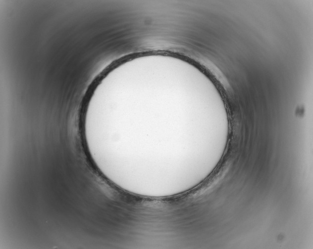 X0000103171023200809192112