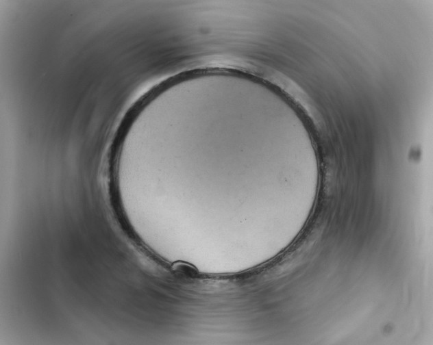 X0000103171024200809192112