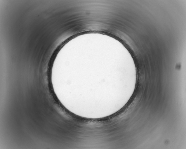 X0000103171026200809192112