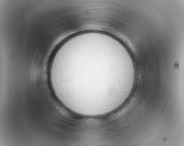 X0000103171027200809192112