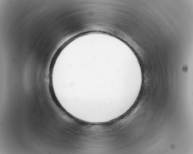 X0000103171028200809192112