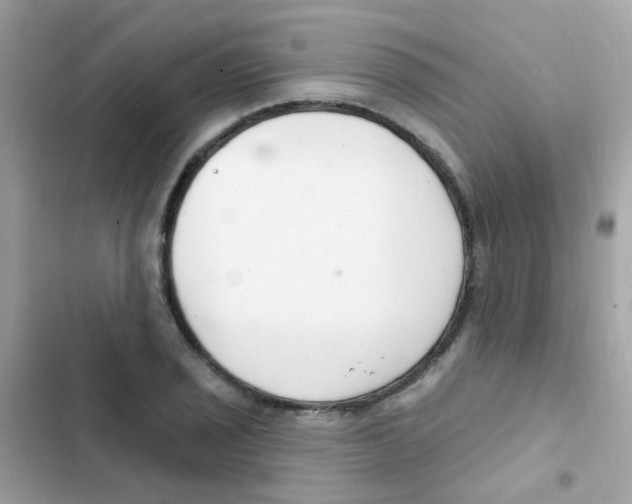 X0000103171029200809192112