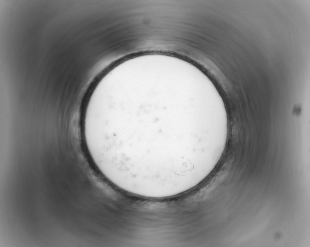 X0000103171030200809192112