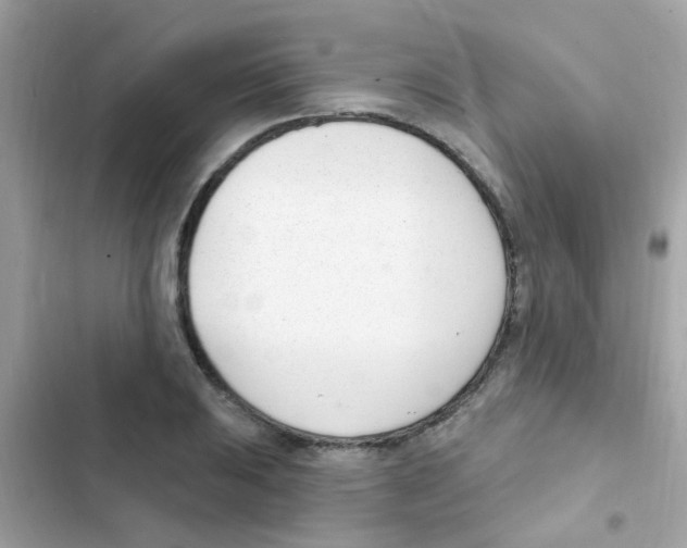 X0000103171031200809192112