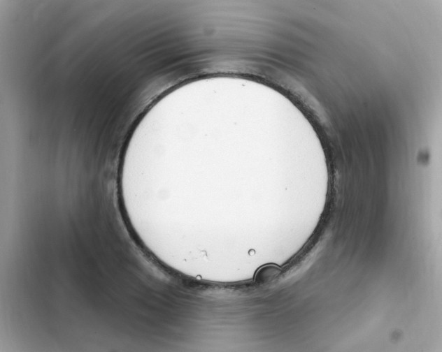 X0000103171033200809192112