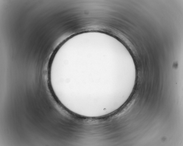 X0000103171034200809192112