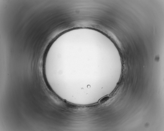 X0000103171035200809192112