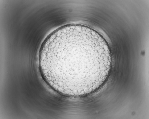 X0000103171036200809192112